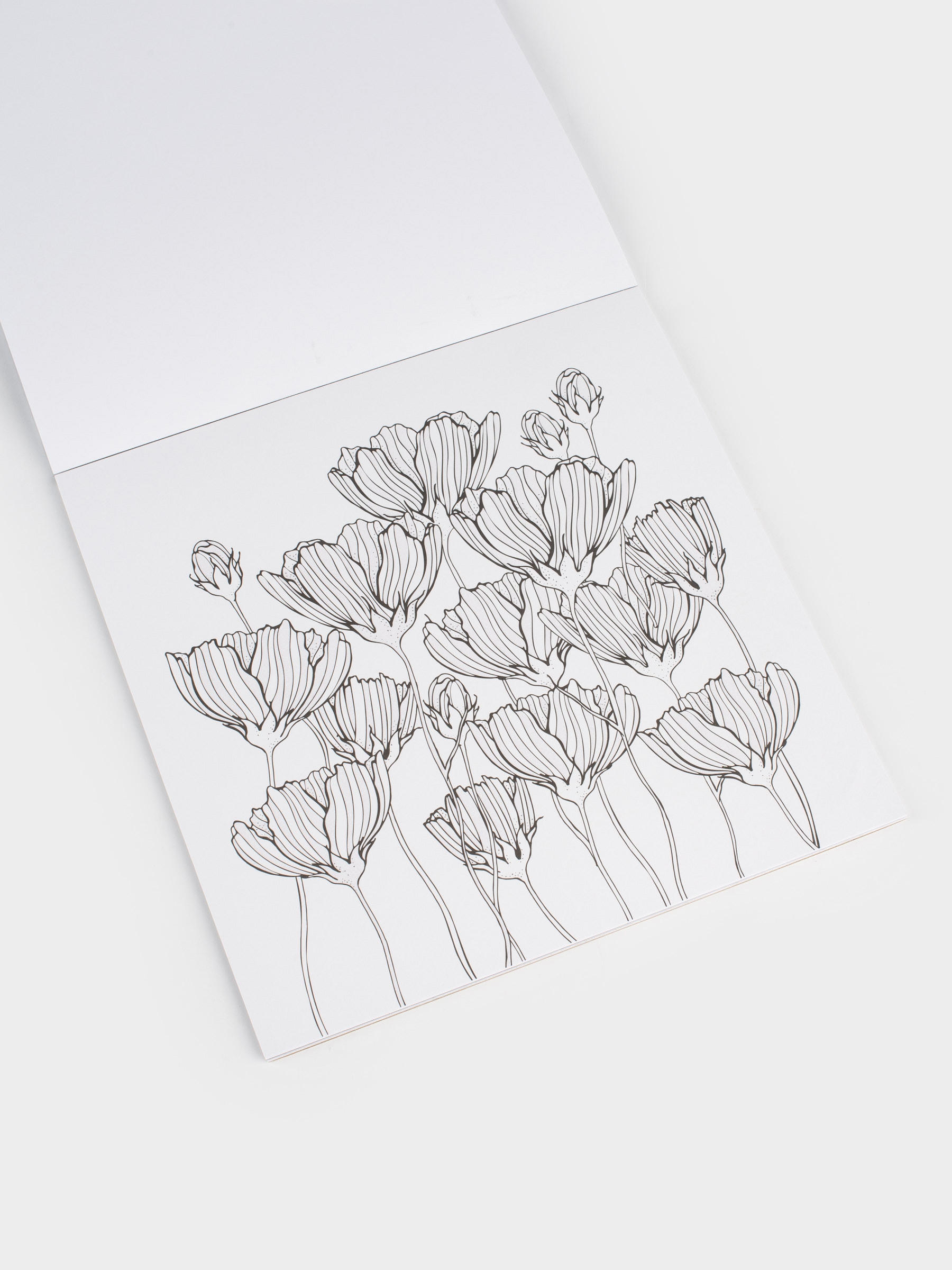 Бояу альбомы, 20х20 см, 24 парақ, жылтыр, Өрнектер мен жануарлар, Draw, image-3