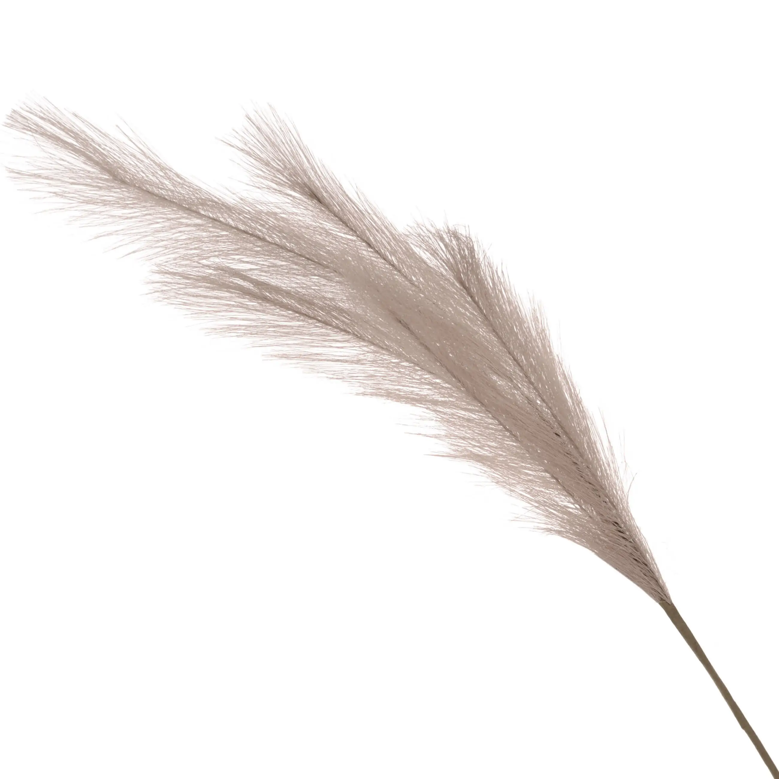 Ветка декоративная, 80 см, полиэстер, бежевая, Камыш, Pampas, image-0