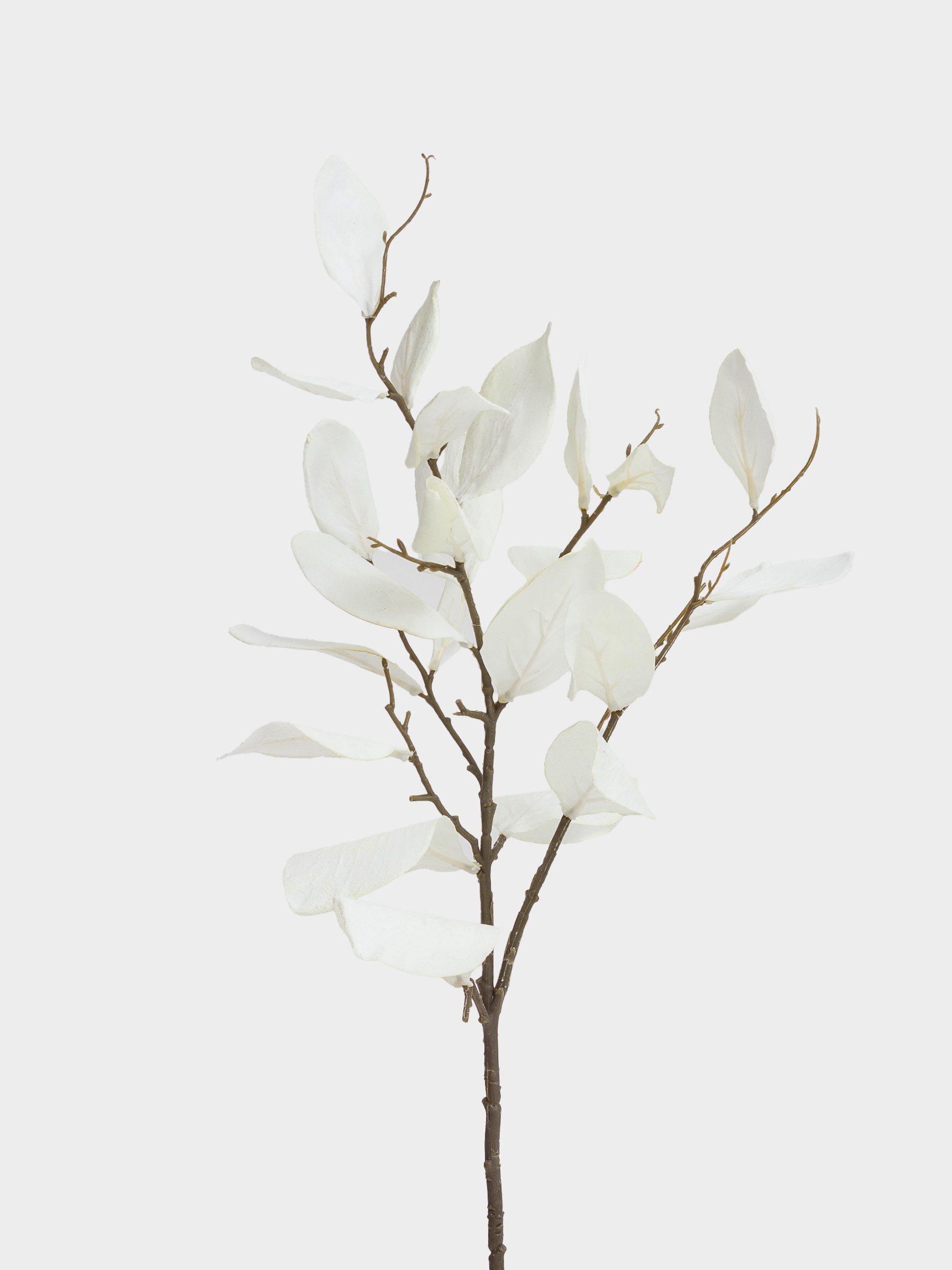 Ветка декоративная, 80 см, пластик/полиэстер, Белые листья, Broadleaf decor, image-1