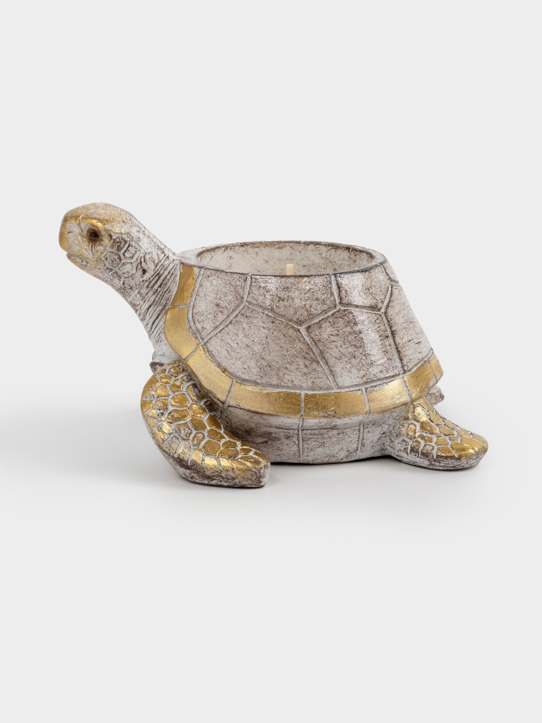 Свеча ароматическая, 14х8 см, в подсвечнике, полирезин, Coconut beach, Черепаха, Grand turtle, image-2