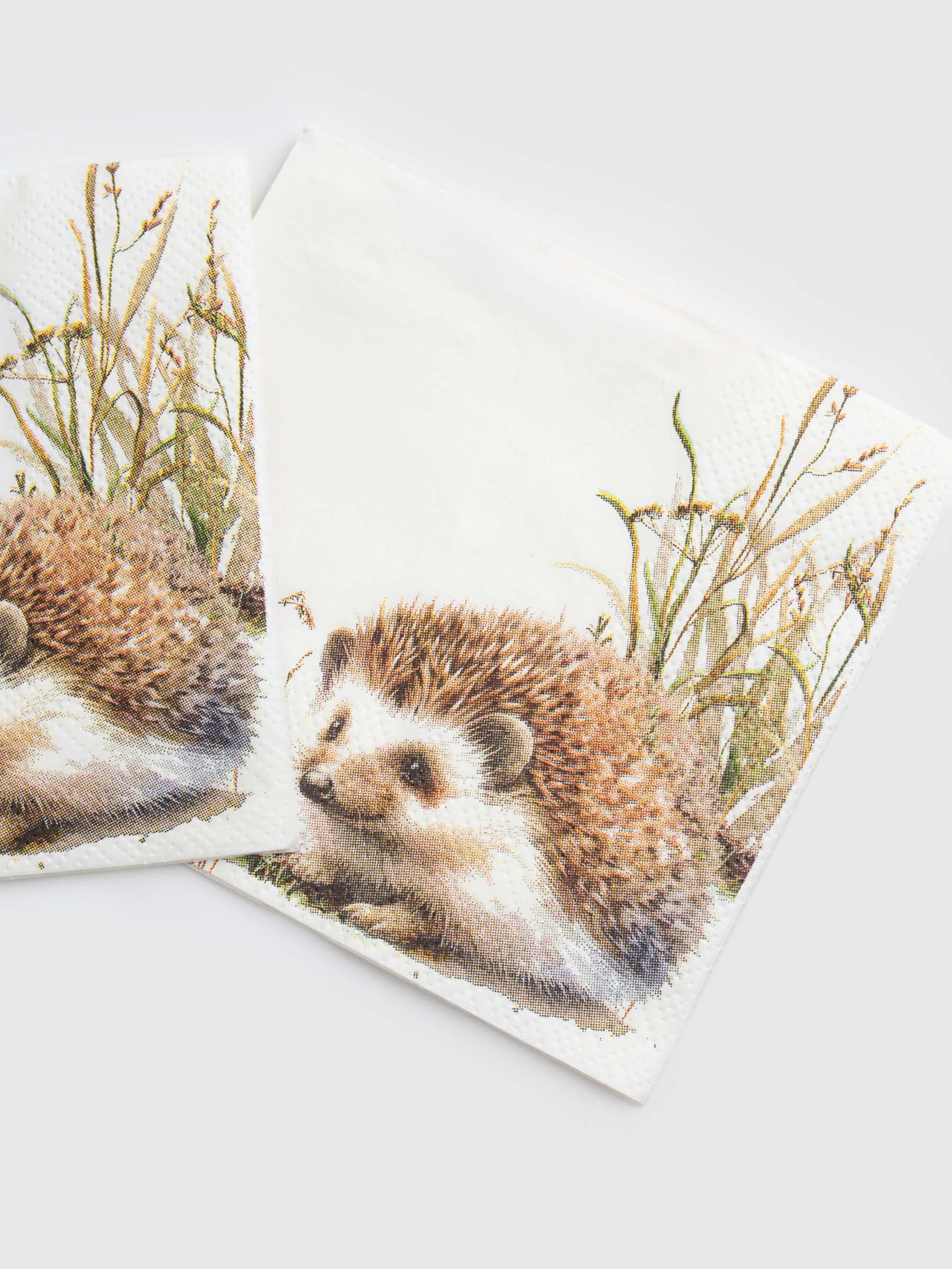 Қағаз майлықтар, 21х21 см, 20 дана, шаршы, ақ, Кірпі, Forest hedgehog, image-4