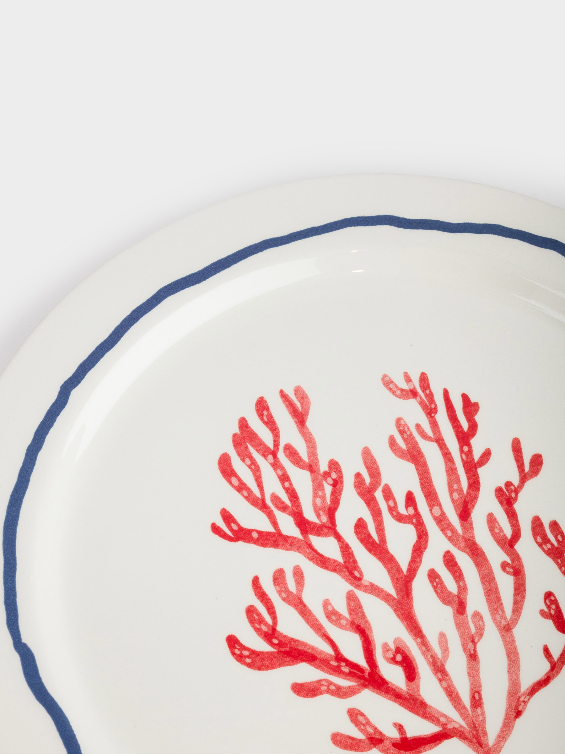 Блюдо, 28 см, керамика, молочное, Коралл, Coral reef, image-3