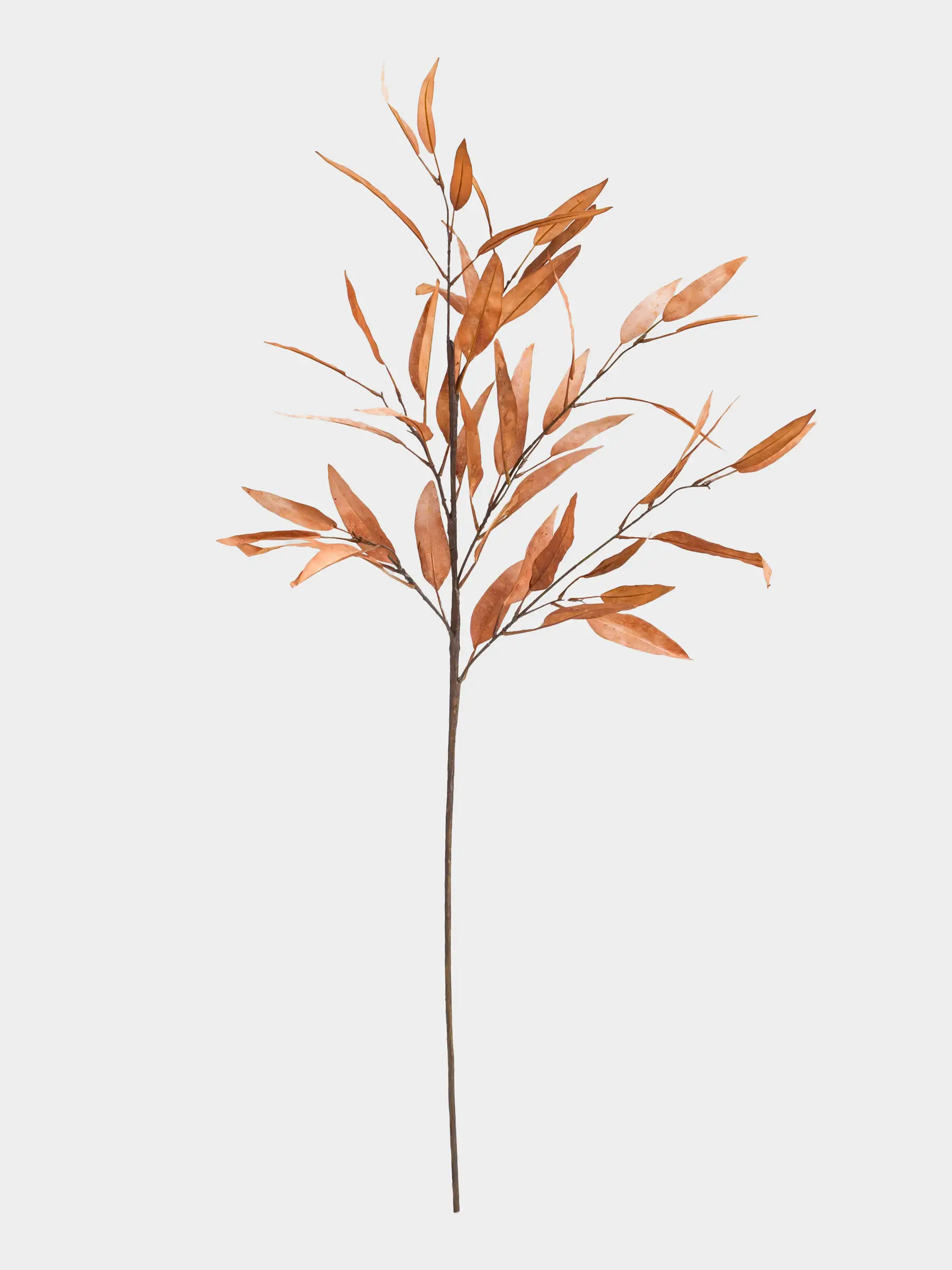 Сәндік бұтақ, 1,1 м, полиэстер/пластик, Эвкалипт, Colors autumn decor, image-0