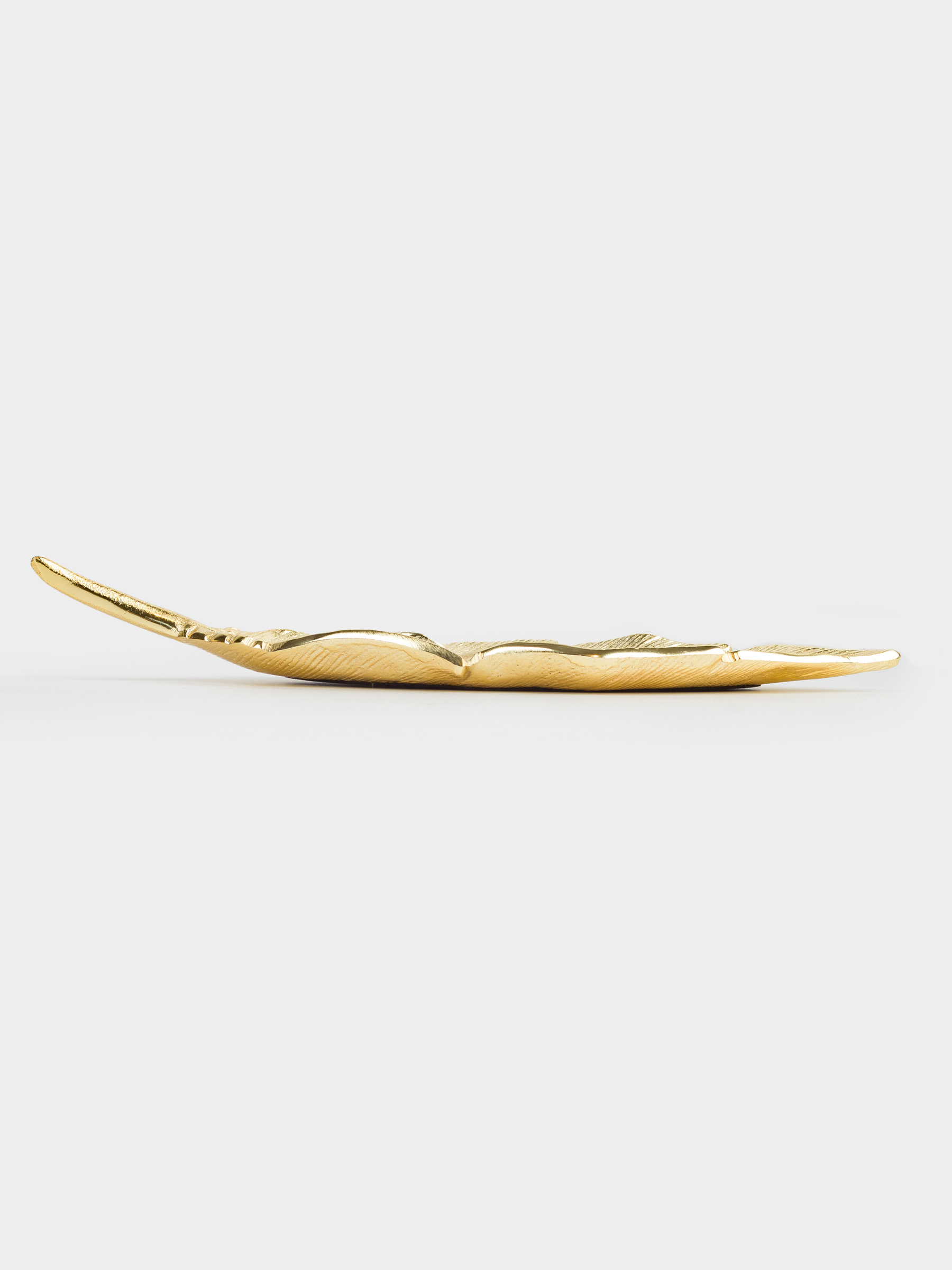 Блюдо декоративное, 26х9 см, металл, золотистое, Лист, Fantastic gold, image-3