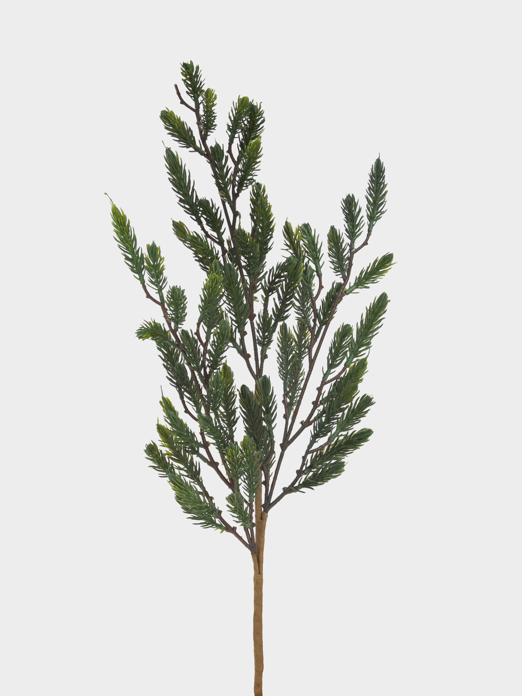 Ветка декоративная, 81 см, пластик, Ель, Conifer decor, image-1