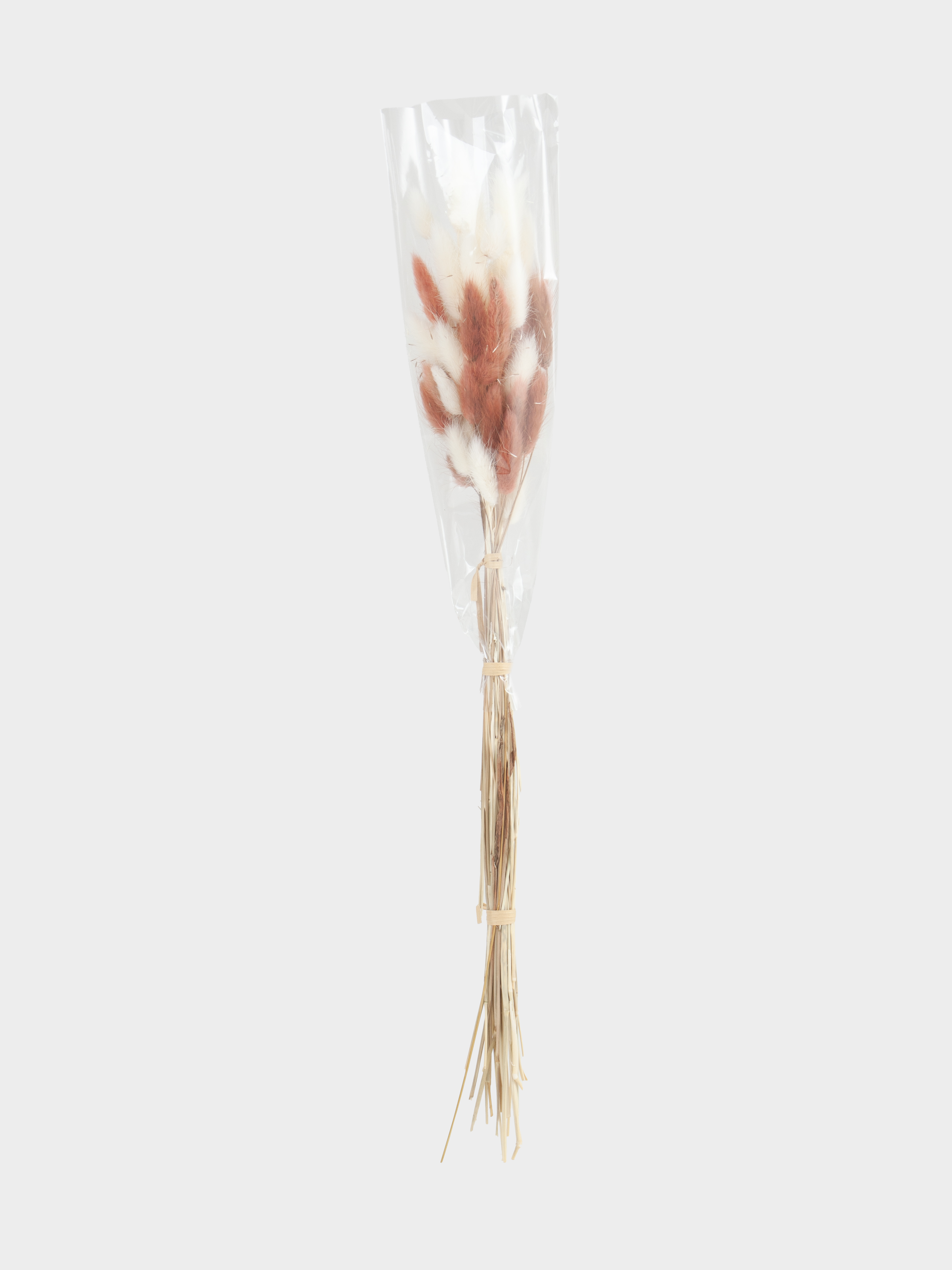 Букет декоративный, 60 см, сухоцветы, бежевый/белый, Колоски, Dried flower, image-2