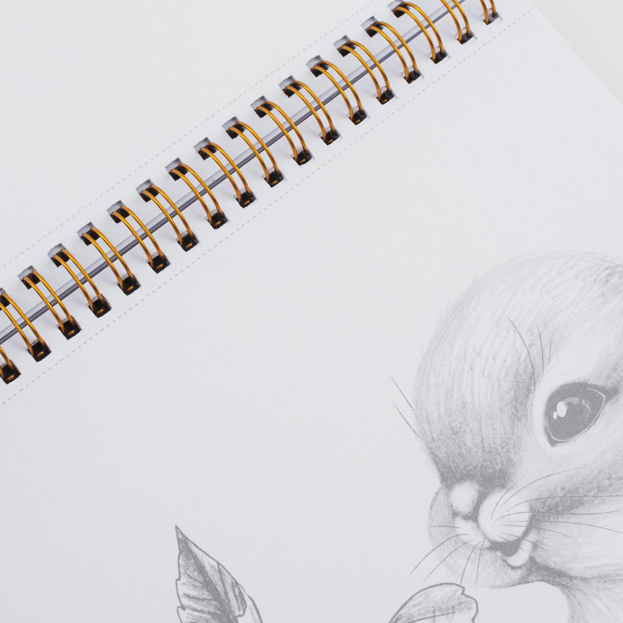 Бояу альбомы, 21х21 см, 24 парақ, сақиналарда, Жануарлар, Draw, image-6