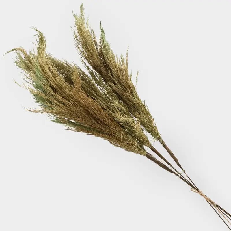 Ветка декоративная, 70 см, сухоцветы, Колосья, Dried flower ,image-0