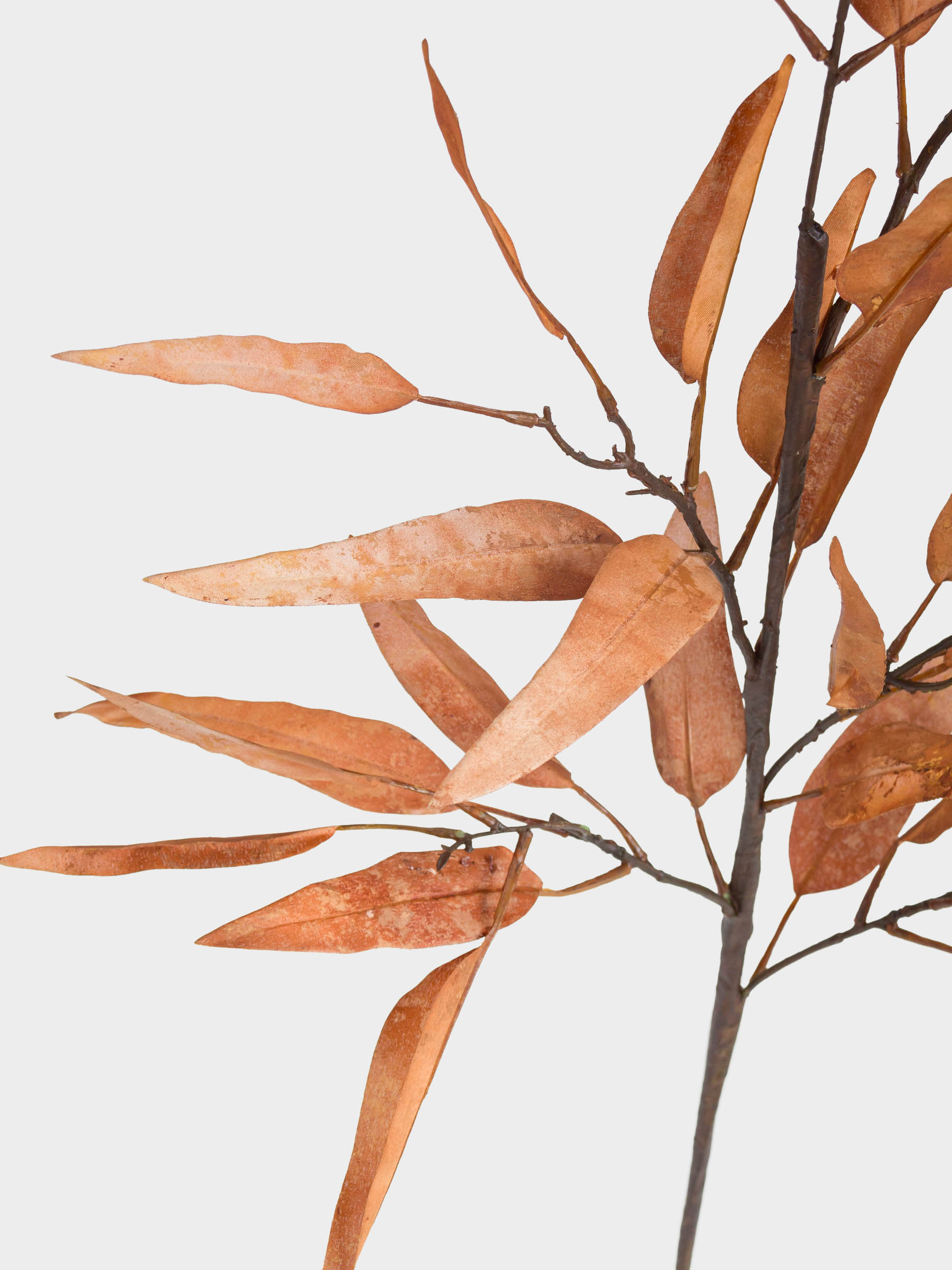 Сәндік бұтақ, 1,1 м, полиэстер/пластик, Эвкалипт, Colors autumn decor, image-4