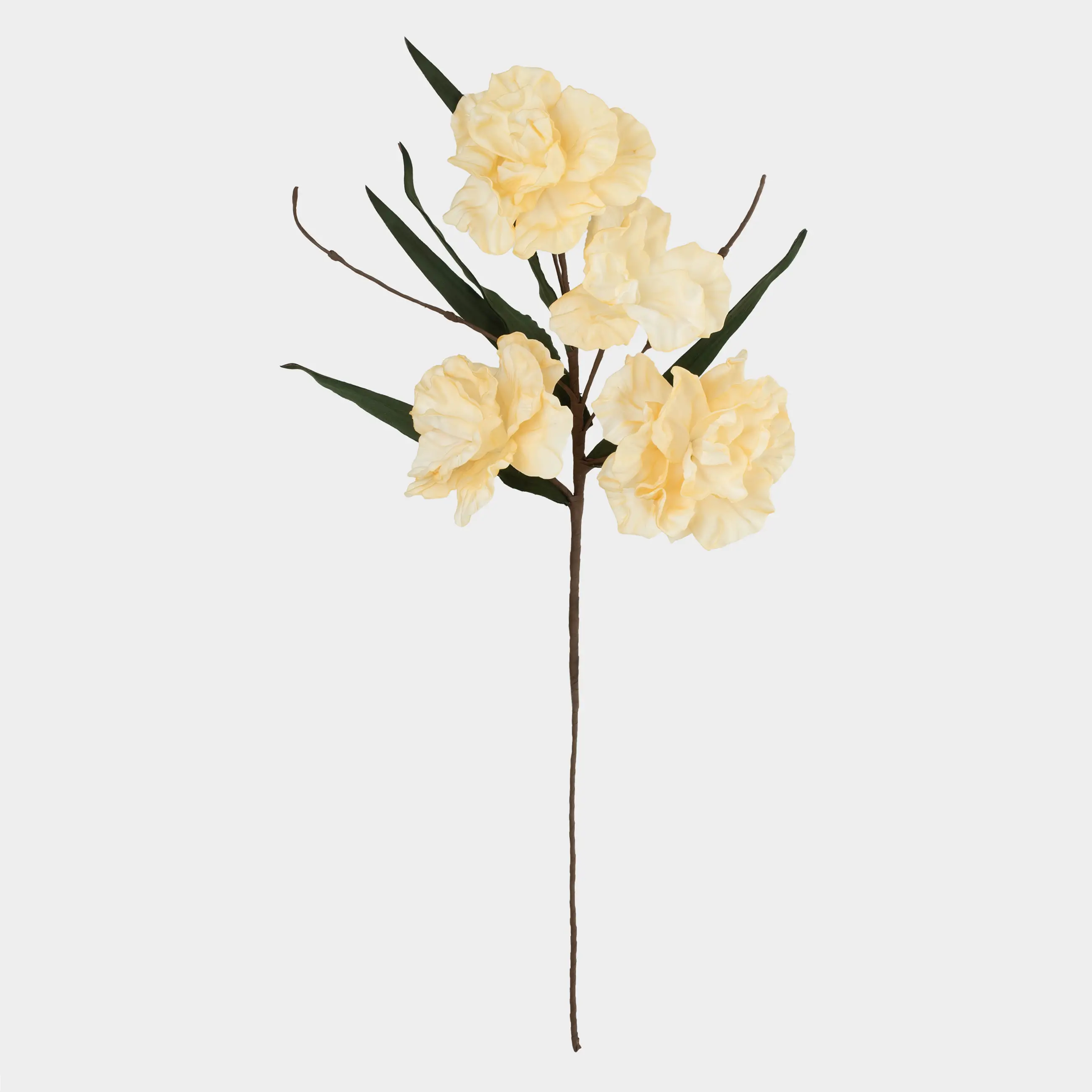 Ветка декоративная, 1 м, пластик/пенопласт, Кремовые пионы, Flower garden, image-0
