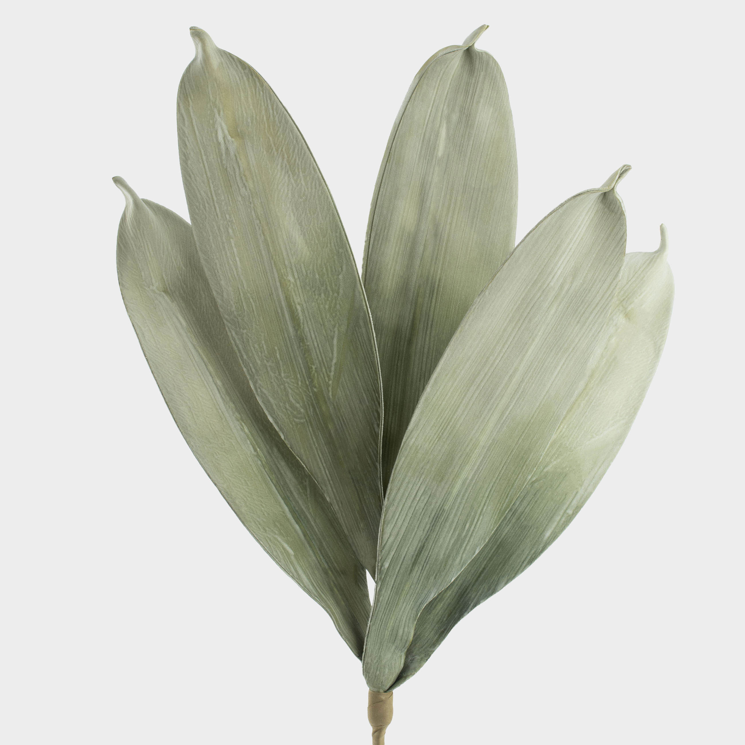 Ветка декоративная, 73 см, пенопласт/бумага, Зеленая аспидистра, Leafs decor, image-2