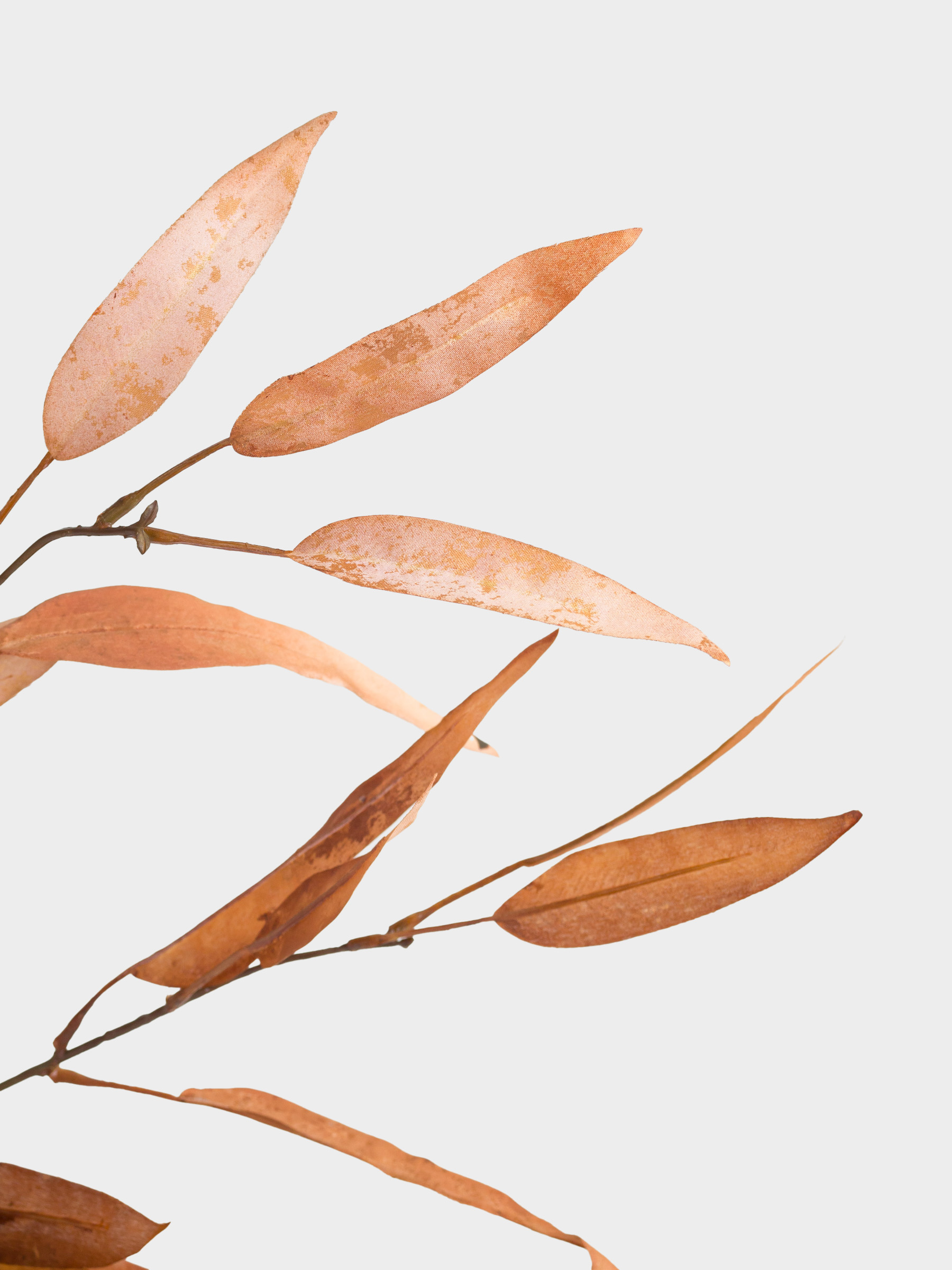 Сәндік бұтақ, 1,1 м, полиэстер/пластик, Эвкалипт, Colors autumn decor, image-2