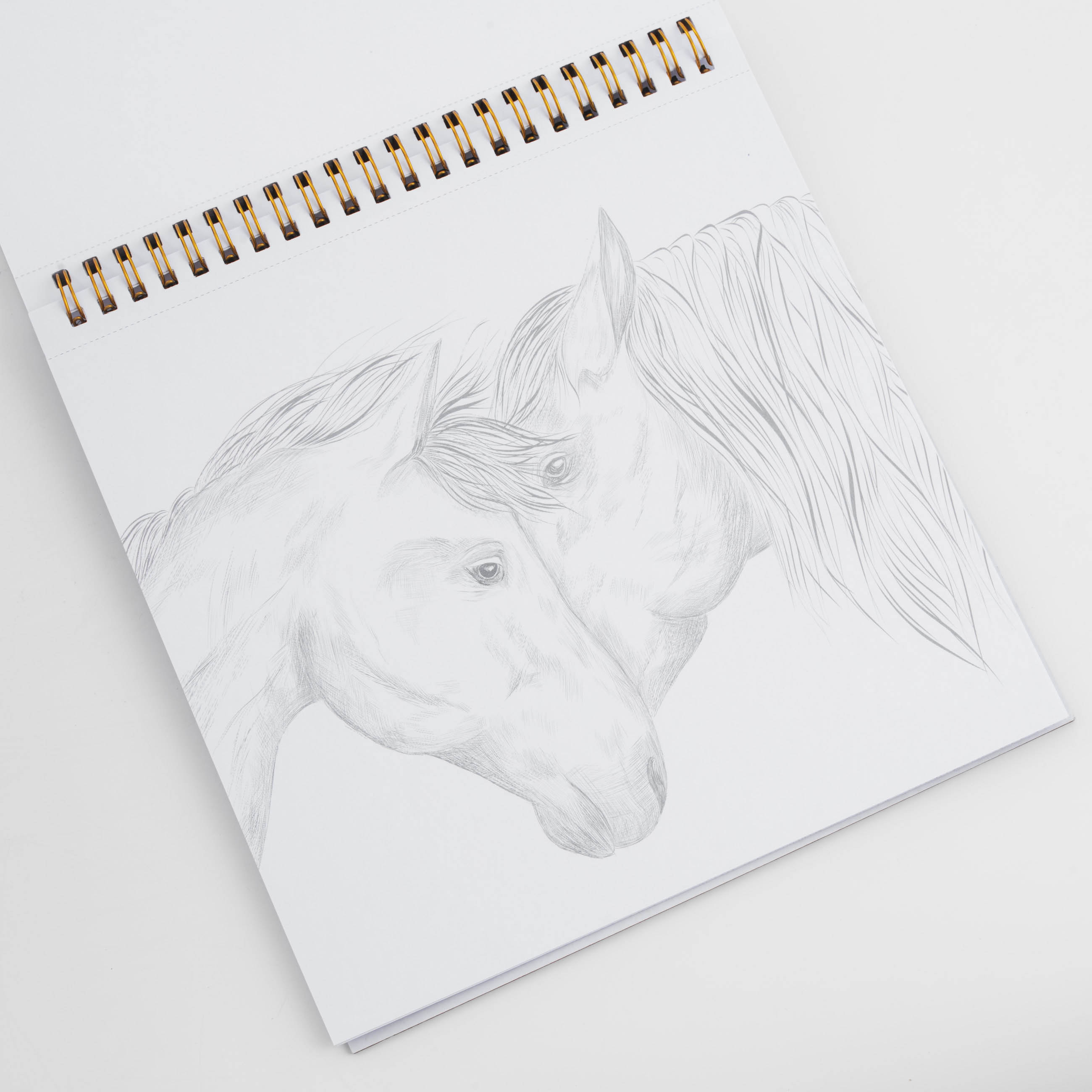 Бояу альбомы, 21х21 см, 24 парақ, сақиналарда, Жануарлар, Draw, image-4