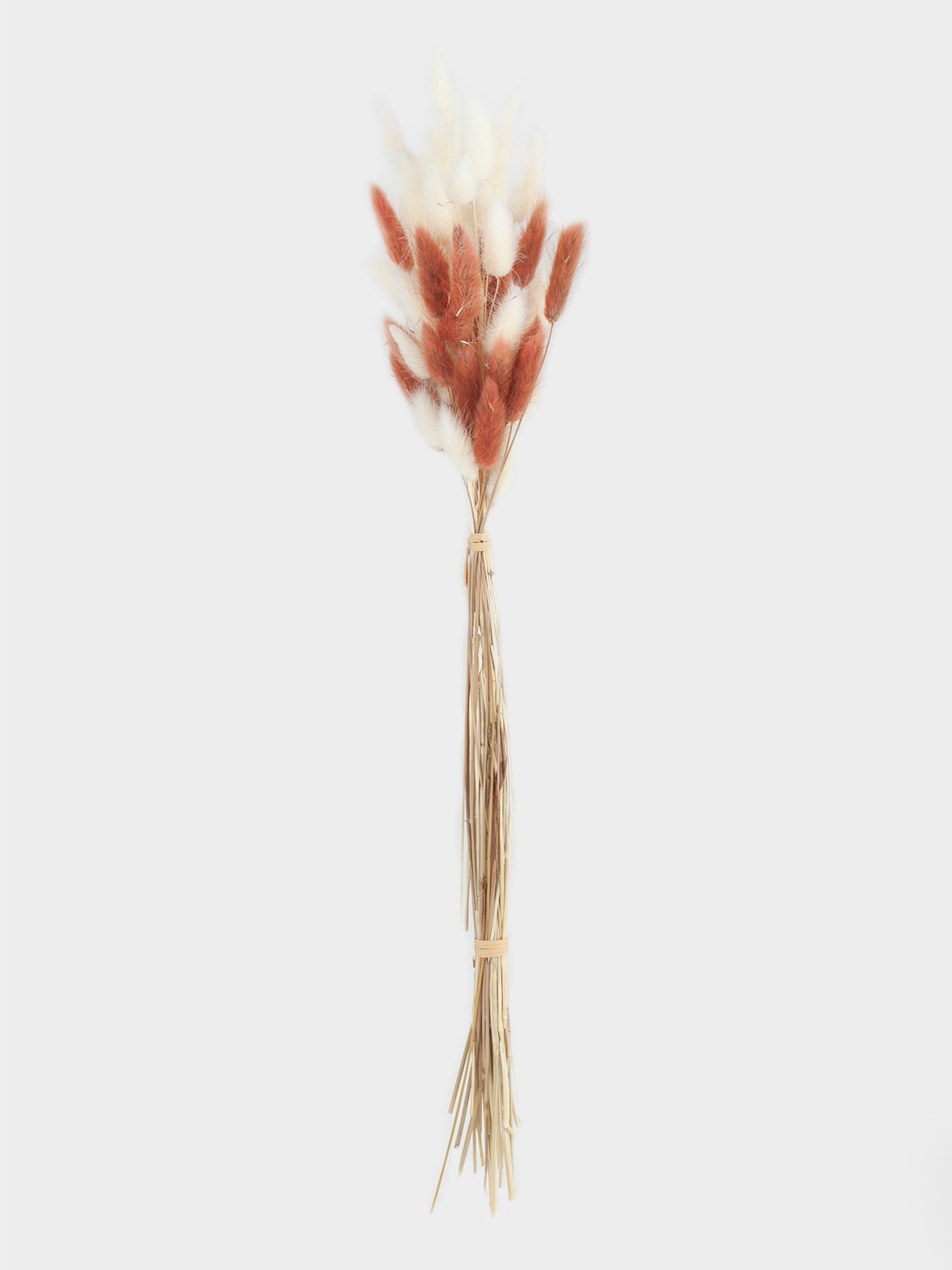 Букет декоративный, 60 см, сухоцветы, бежевый/белый, Колоски, Dried flower, image-0