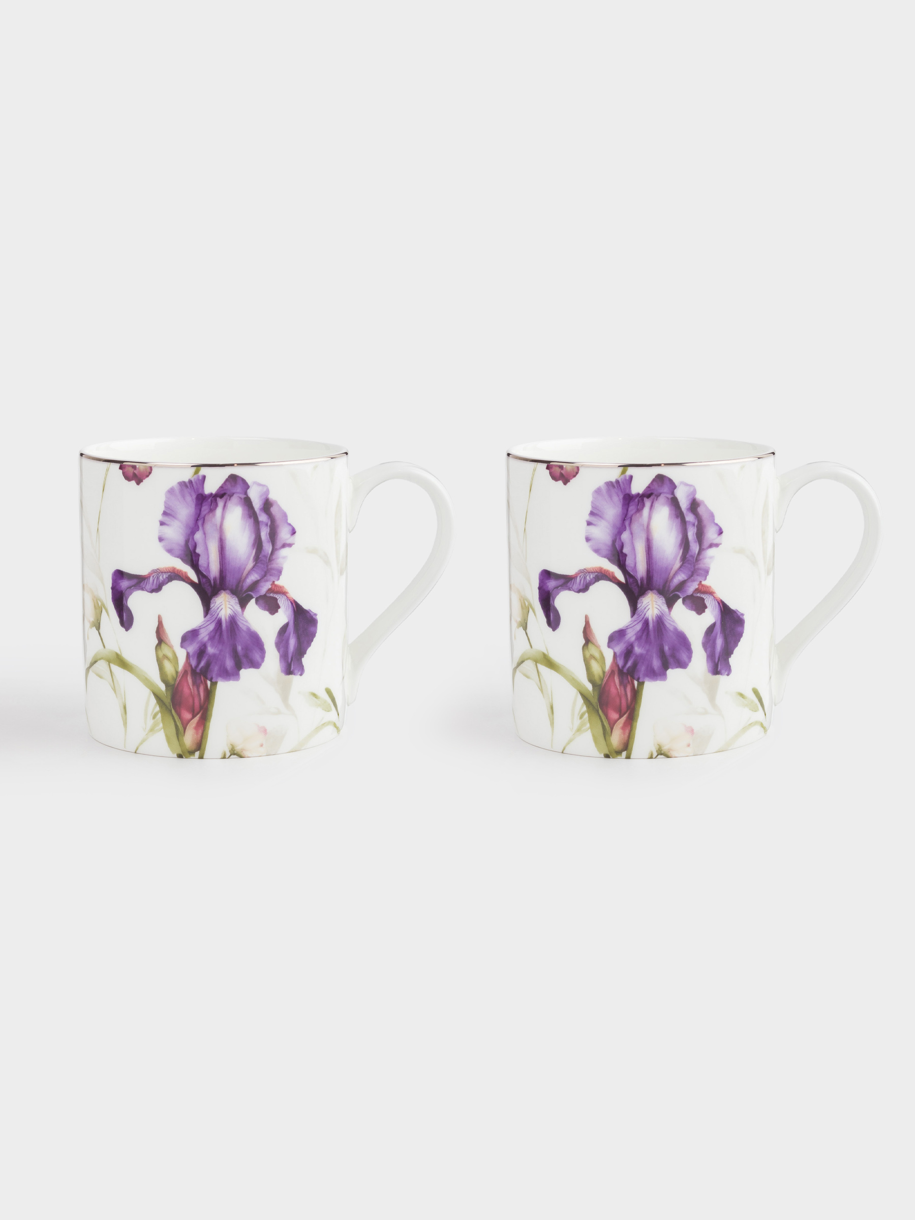 Кружка, 380 мл, 2 шт, фарфор F, белая, с серебристым кантом, Ирис, Antarctica Flowers, image-1