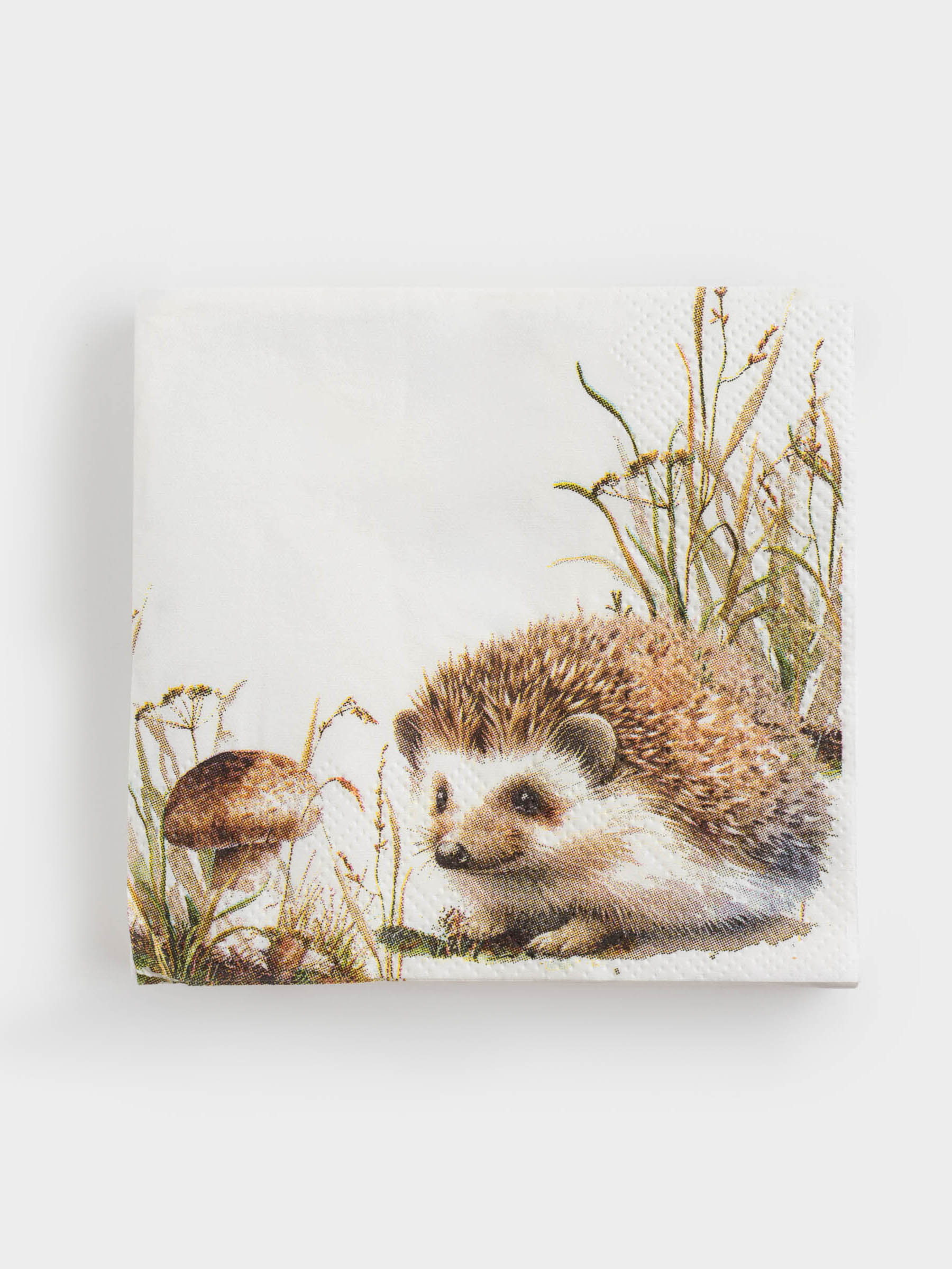 Қағаз майлықтар, 21х21 см, 20 дана, шаршы, ақ, Кірпі, Forest hedgehog, image-0