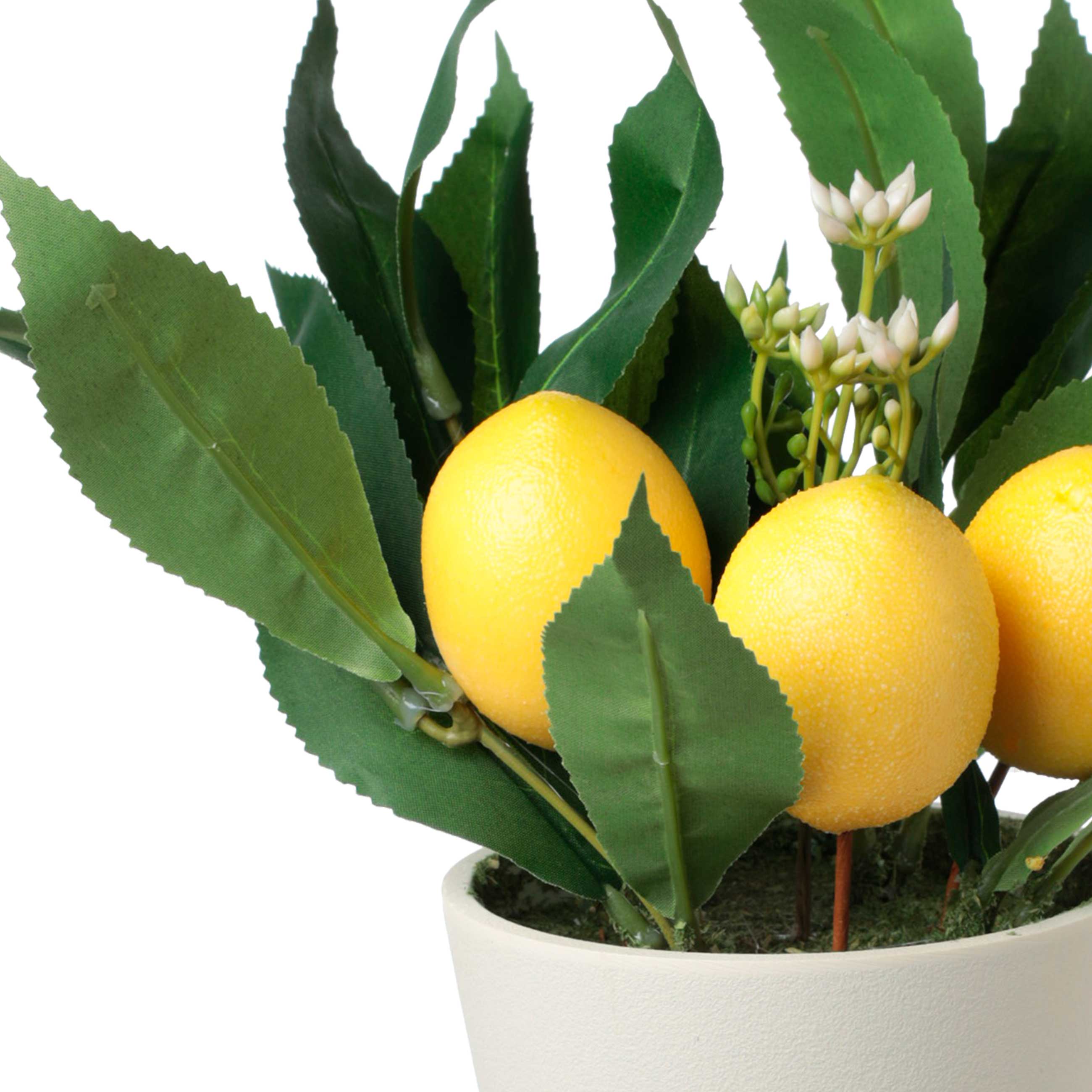 Жасанды өсімдік, 28 см, құмырада, полиэстер / меламин, лимон, Pot garden изображение № 2