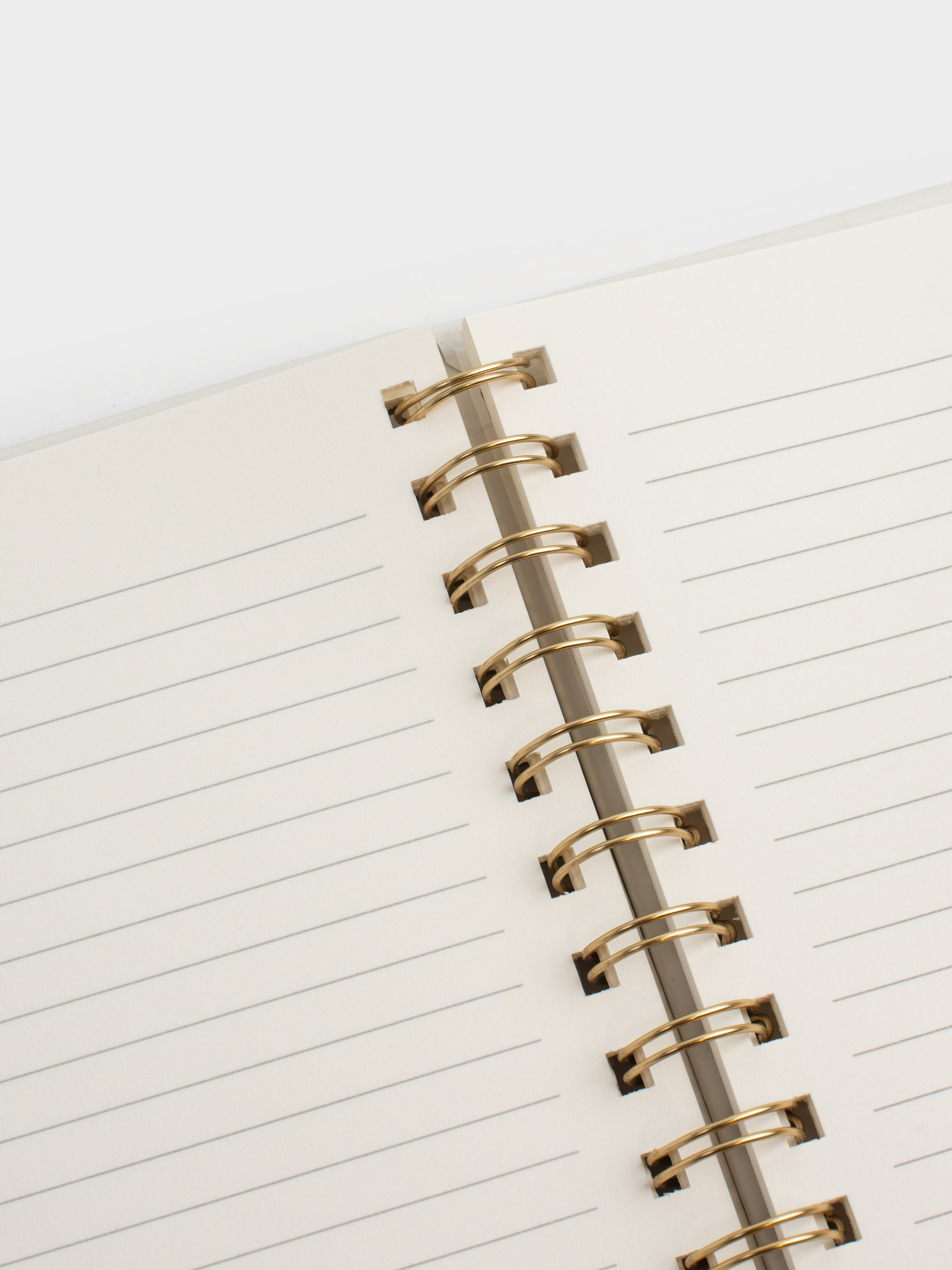 Жазуға арналған дәптер, қаламы бар, 15х20 см, 80 л, сақиналы, полиуретанды, экрю, Stationery gold, image-4