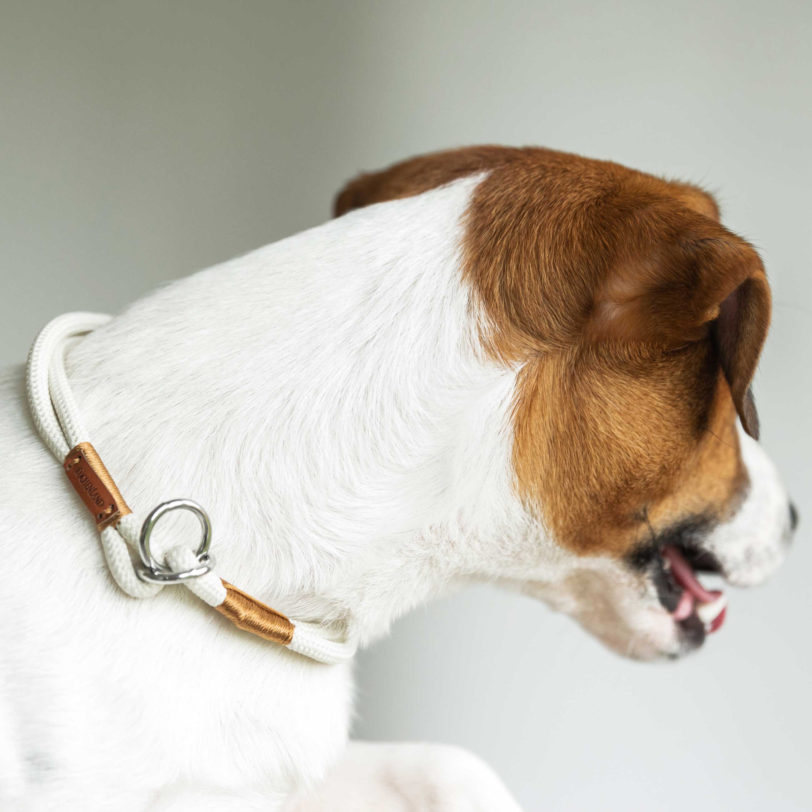 Ошейник-полуудавка для собак, 35 см, размер S, пластик эко, бежевый, Clever pet изображение № 4