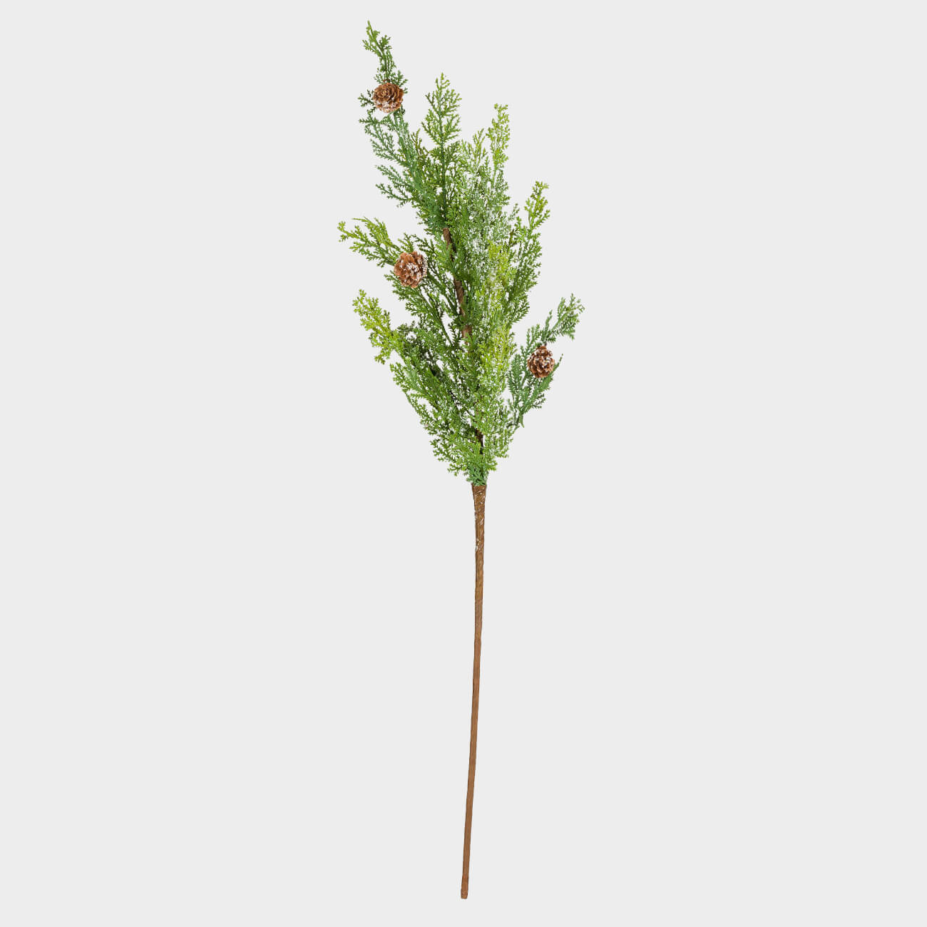 Ветка декоративная, 77 см, полиэтилен, Ветка с шишками, Conifer decor, image-0