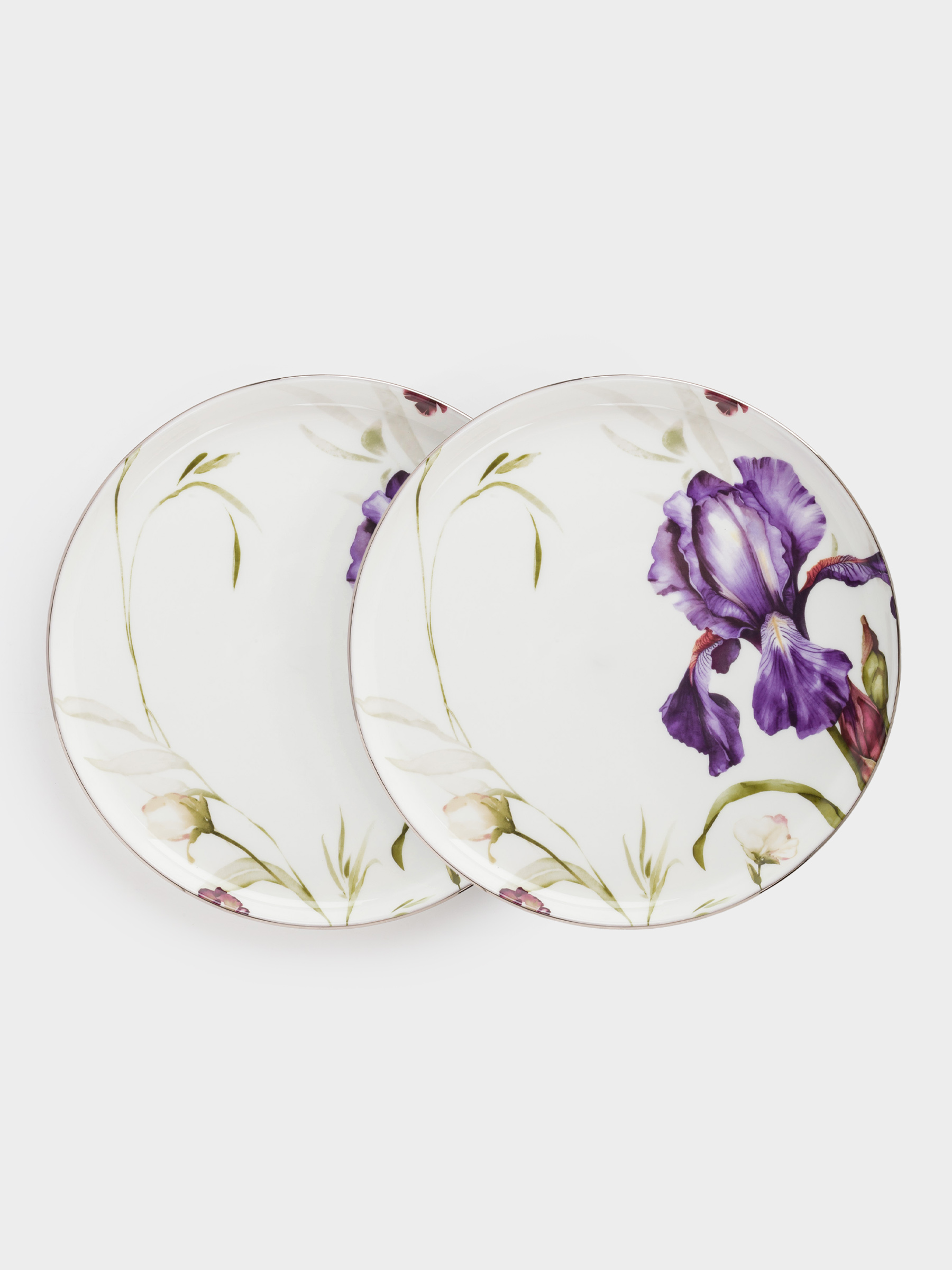 Тарелка закусочная, 24 см, 2 шт, фарфор F, с серебристым кантом, Ирис, Antarctica Flowers, image-0