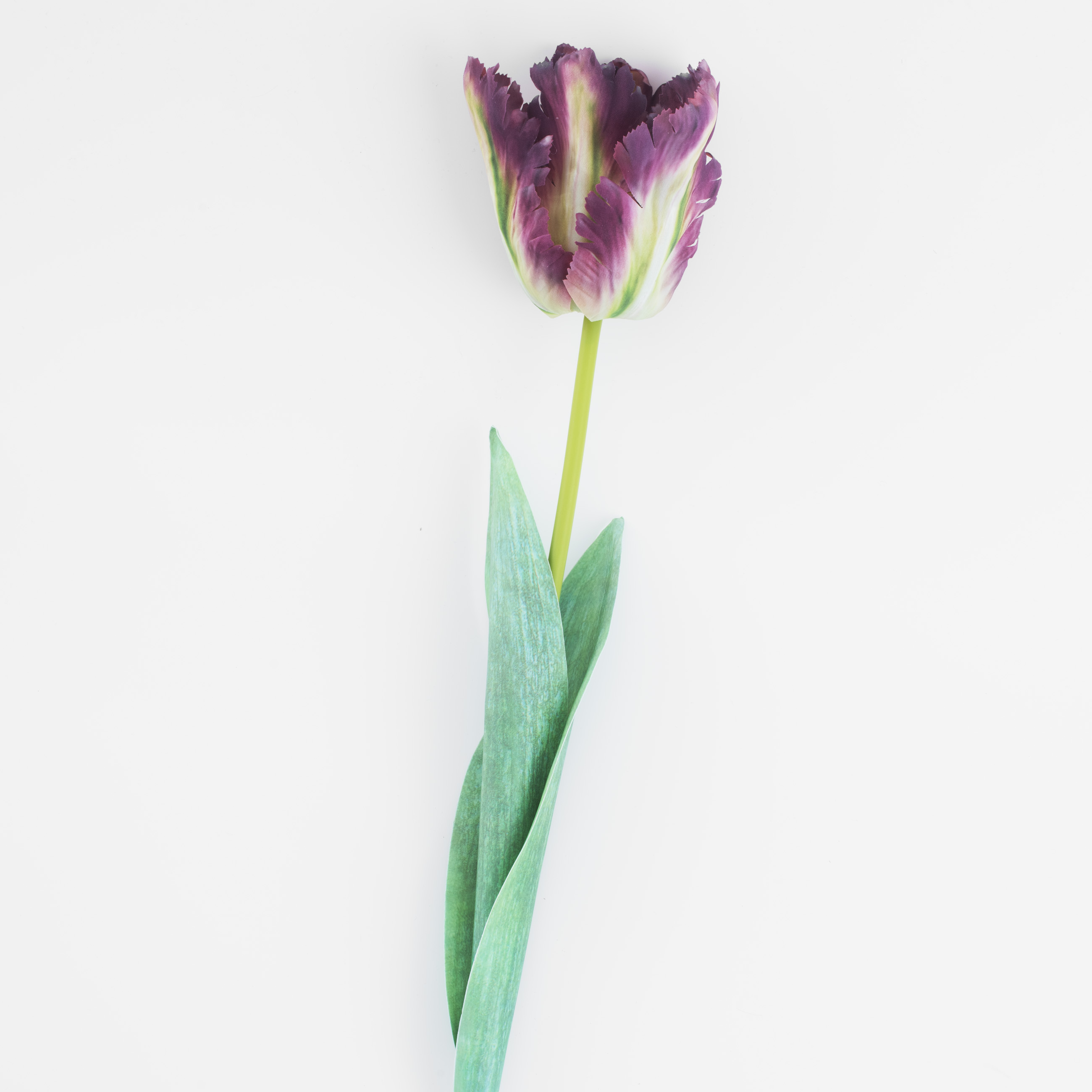 Жасанды гүл, 68 см, пластик / қағаз, Қызғалдақ, Tulip garden изображение № 4