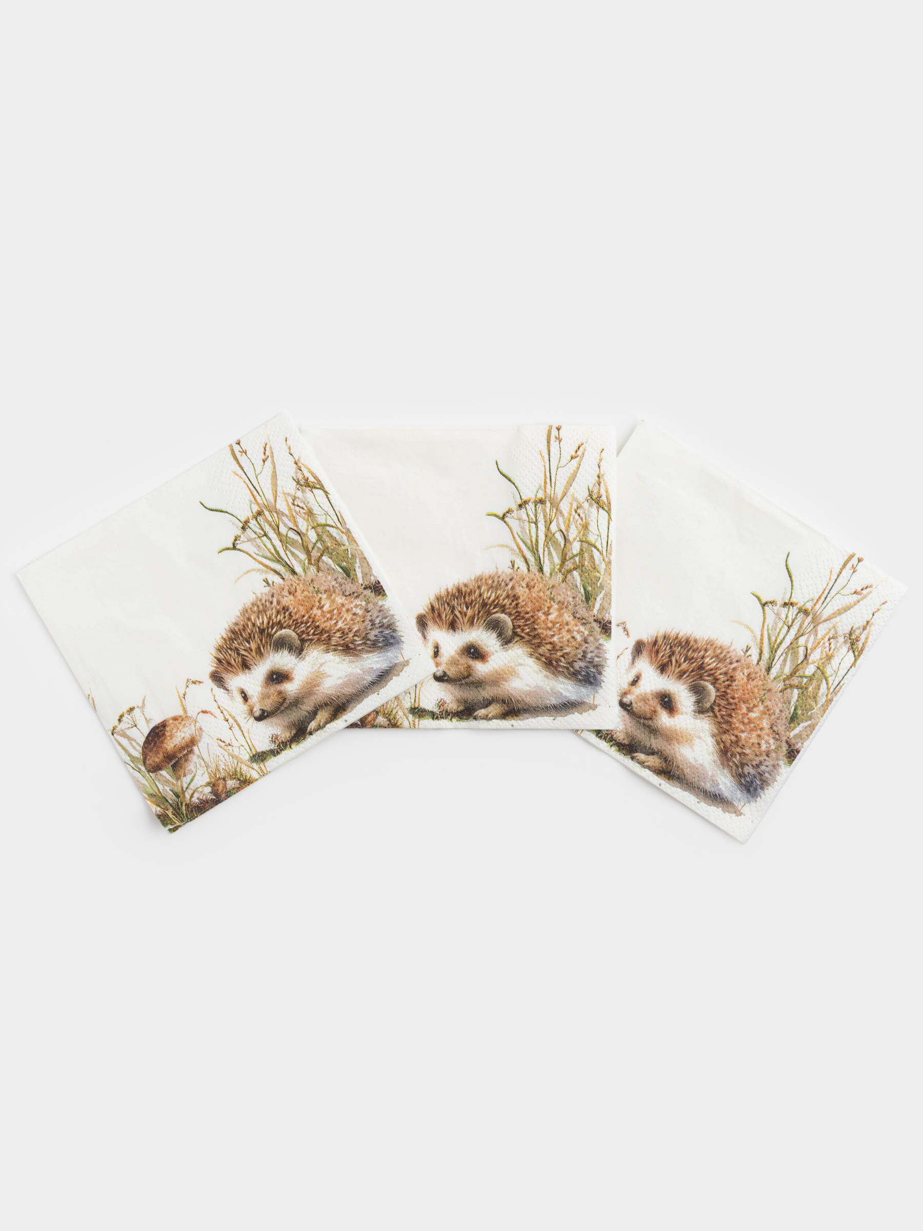 Қағаз майлықтар, 21х21 см, 20 дана, шаршы, ақ, Кірпі, Forest hedgehog, image-2