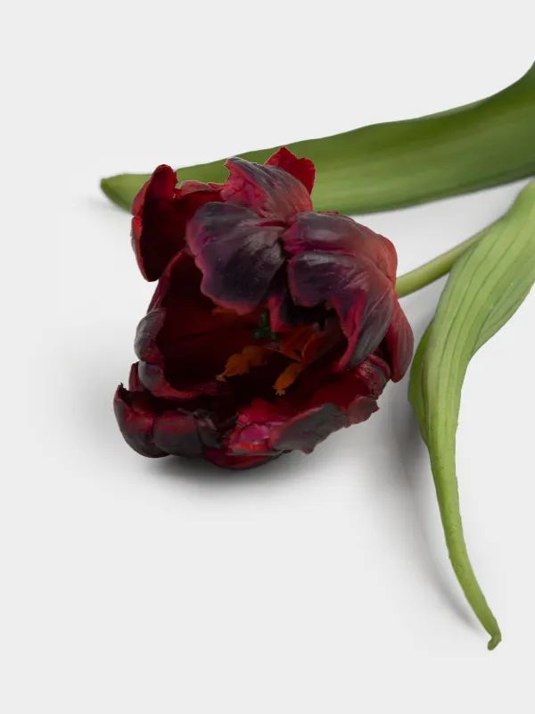 Жасанды гүл, 40 см, ПВХ/металл, Қызыл қызғалдақ, Tulip garden, image-2