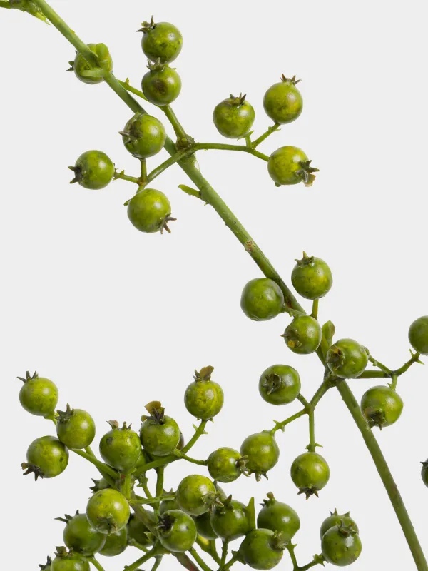 Сәндік бұтақ, 1 м, пенопласт/пластик, Жасыл жидектер, Balls decor, image-3