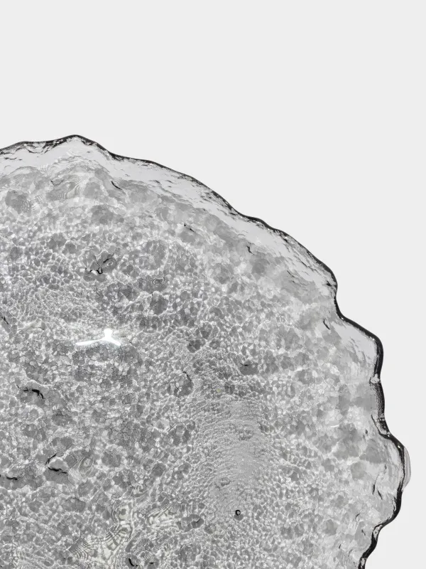 Ыдыс, 30х3 см, шыны, сұр, Nautilus color, image-1