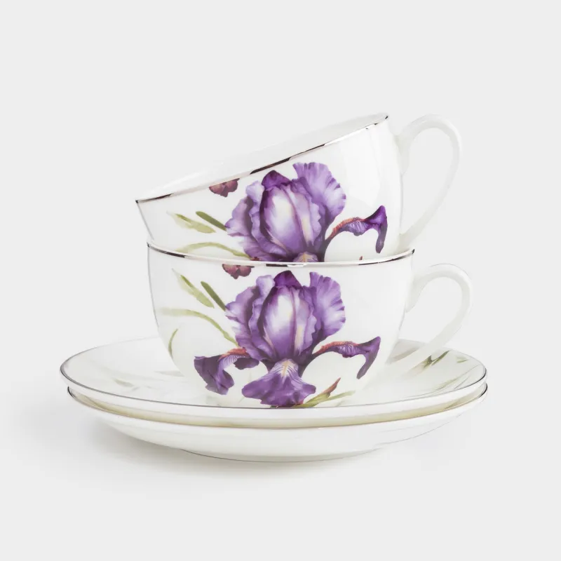 Пара чайная, 2 перс, 4 пр, 300 мл, фарфор F, с серебристым кантом, Ирис, Antarctica Flowers