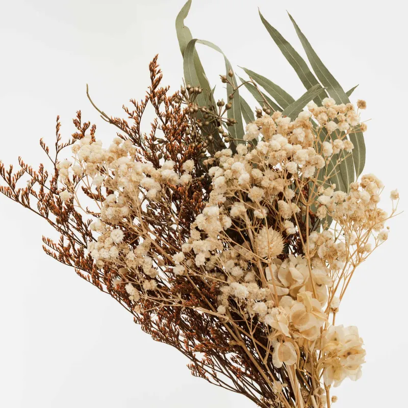 Сәндік гүл шоғы, 55 см, кептірілген Florals, Шөптер мен Florals, Dried flower, image-3