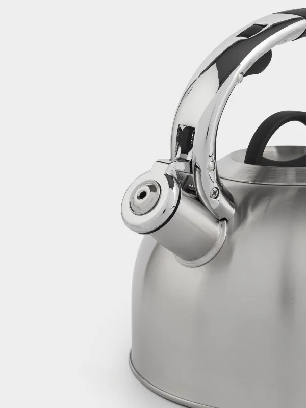 Чайник, 2,8 л, со свистком, сталь, матовый, Whistle, image-3