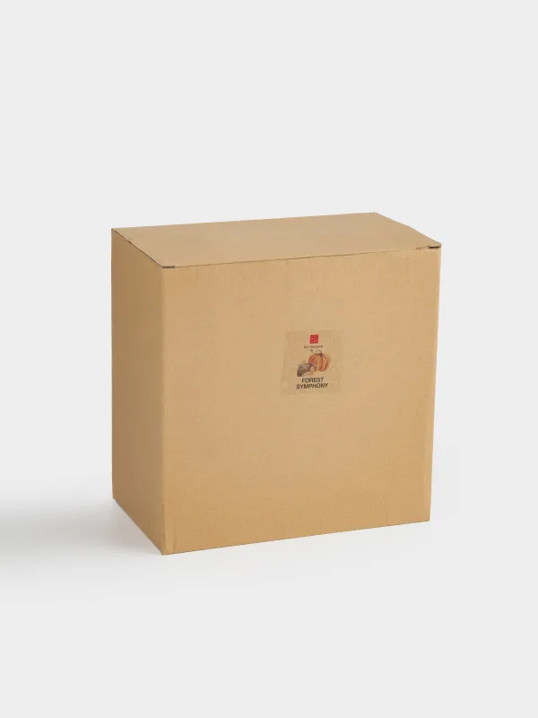 Менажница, с декором, 20 см, 3 отд, керамика D, оранжевая, Еж, Forest symphony, image-6