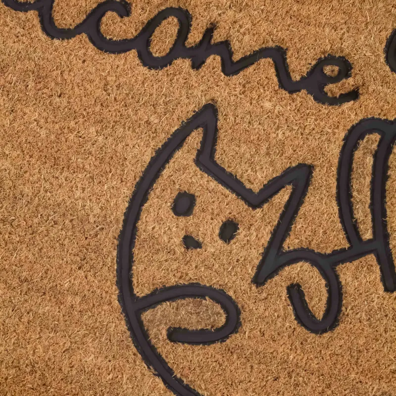 Кілемше, 40х60 см, Кокос жаңғағы/ПВХ, сарғылт-қоңыр, Мысық, Home deco, image-5