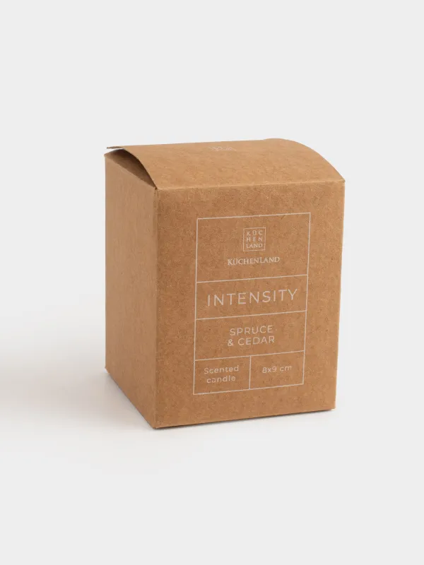 Свеча ароматическая, 8х9 см, в подсвечнике, стекло, бежевая, Spruce & Cedar, Intensity, image-3