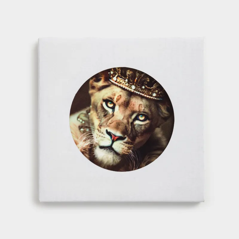 Саптыаяқ тұғыры, 11 см, дөңгелек, керамика/тығын, ақ, Арыстан, Brutal style, image-3