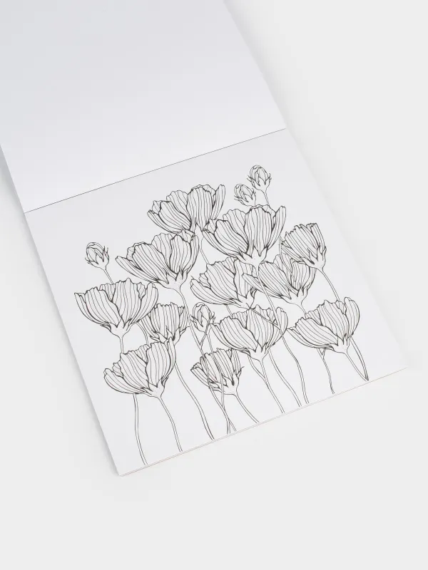 Бояу альбомы, 20х20 см, 24 парақ, жылтыр, Өрнектер мен жануарлар, Draw, image-2