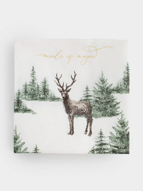 Салфетки бумажные, 21х21 см, 20 см, Woodland story, image-0