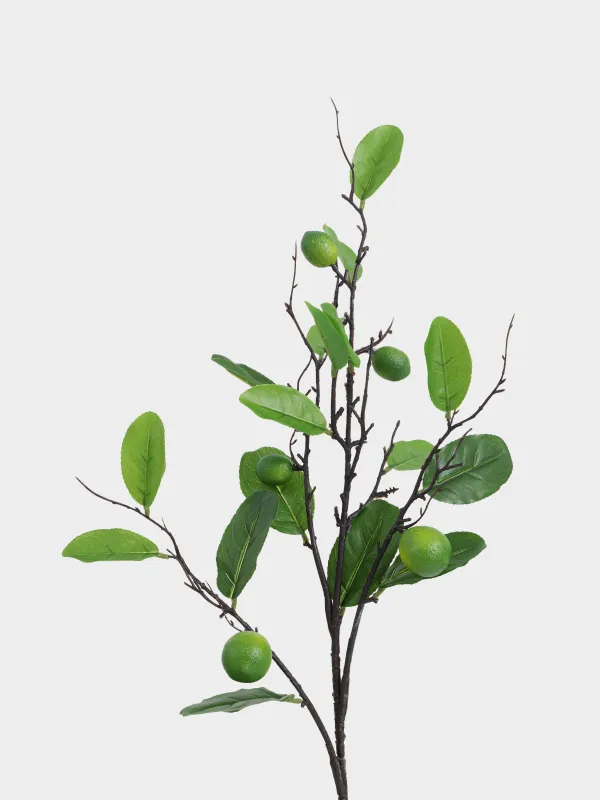 Сәндік бұтақ, 95 см, материал, әк, Fruit decor, image-1