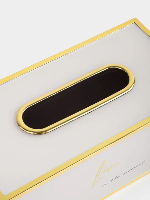 Қағаз майлықтарға арналған қорап, 24х13 см, пластик/шыны, сүт-алтын түстес, Live, Fardella, image-5