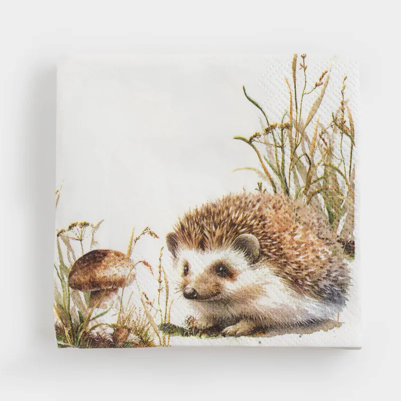 Қағаз майлықтар, 21х21 см, 20 дана, шаршы, ақ, Кірпі, Forest hedgehog