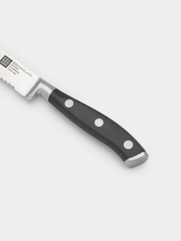 Пышақтар жинағы, 4 зат, болат/пластик, Actual, image-3