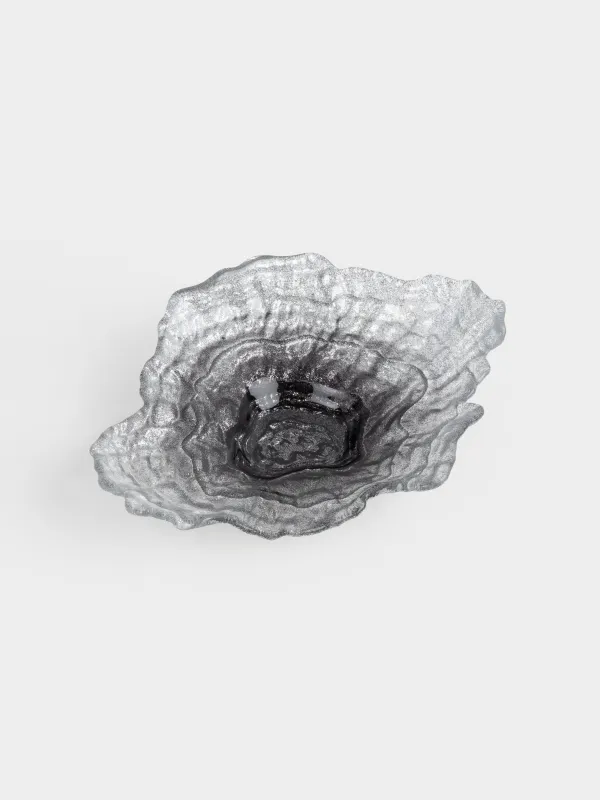 Ыдыс, 23х17х5 см, шыны, күміс түстес және сұр градиент, Устрица, Shellfish, image-1