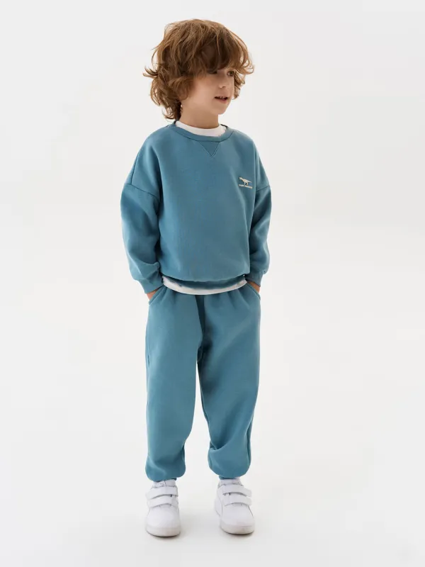 Свитшот детский, для мальчиков, хлопок/полиэстер, голубой, Arnold, image-4