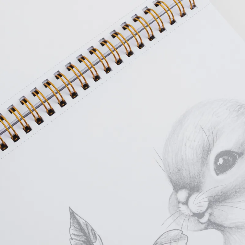 Альбом для раскрашивания, 21х21 см, 24 листа, на кольцах, Животные, Draw creative, image-6