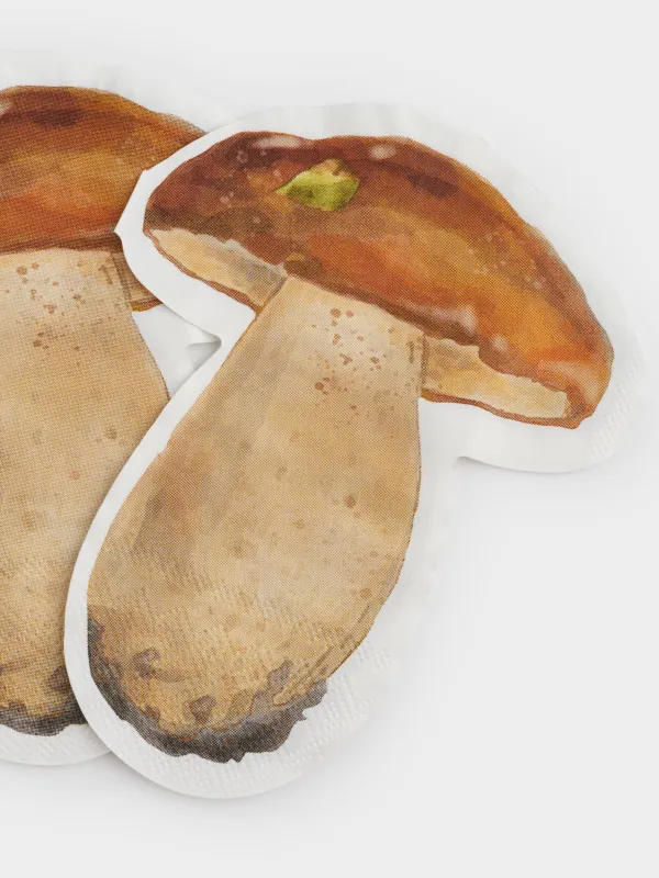 Салфетки бумажные, 25х32 см, 20 шт, фигурные, коричневые, Гриб, Fungi, image-3