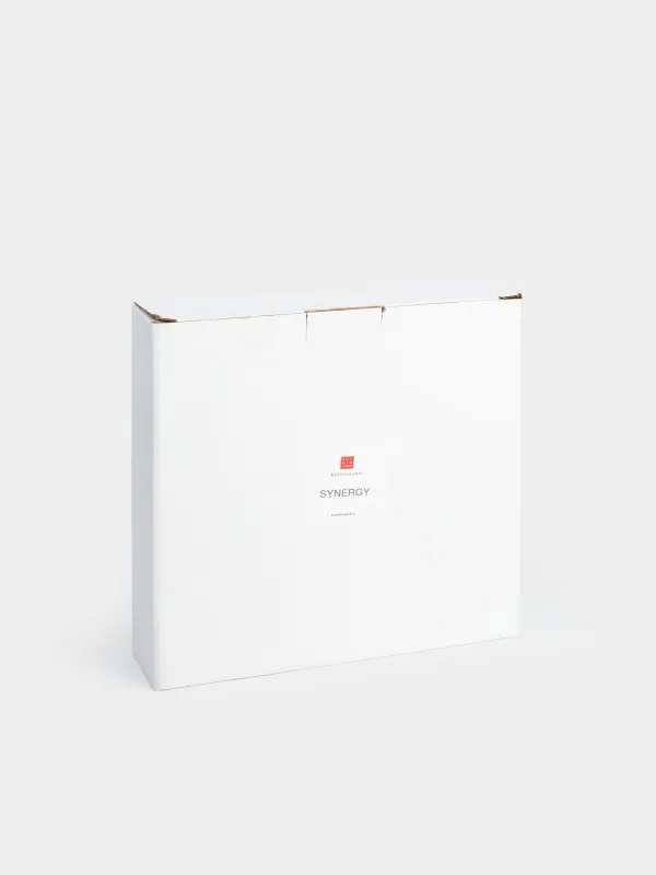 Сорпа тәрелкесі, 22х5 см, фарфор P, ақ, Synergy, image-6