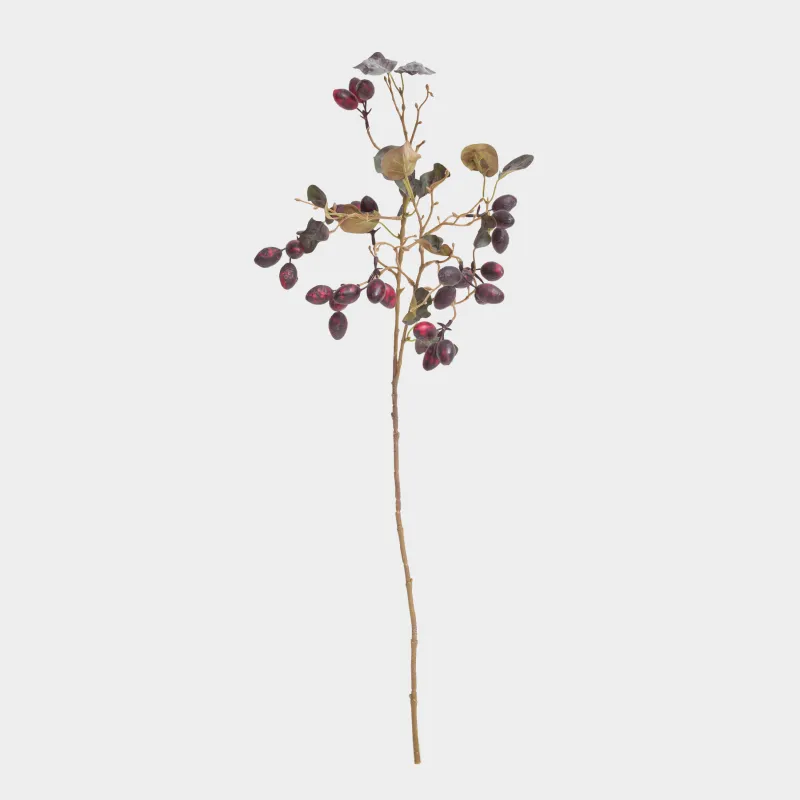 Сәндік бұтақ, 85 см, көбік/полиэтилен, Кизил, Fruit decor