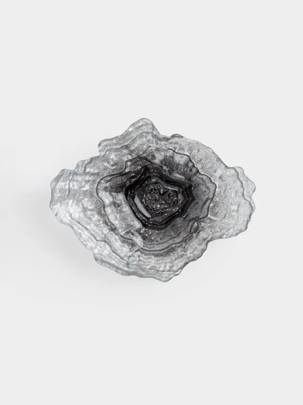 Ыдыс, 23х17х5 см, шыны, күміс түстес және сұр градиент, Устрица, Shellfish, image-4